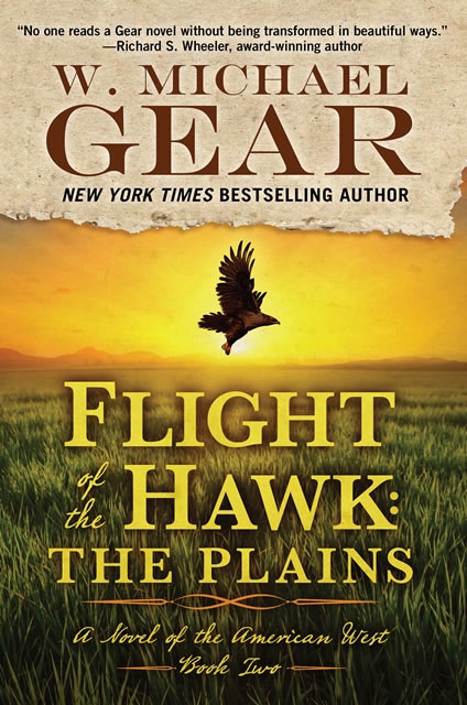 Flight of the Hawk